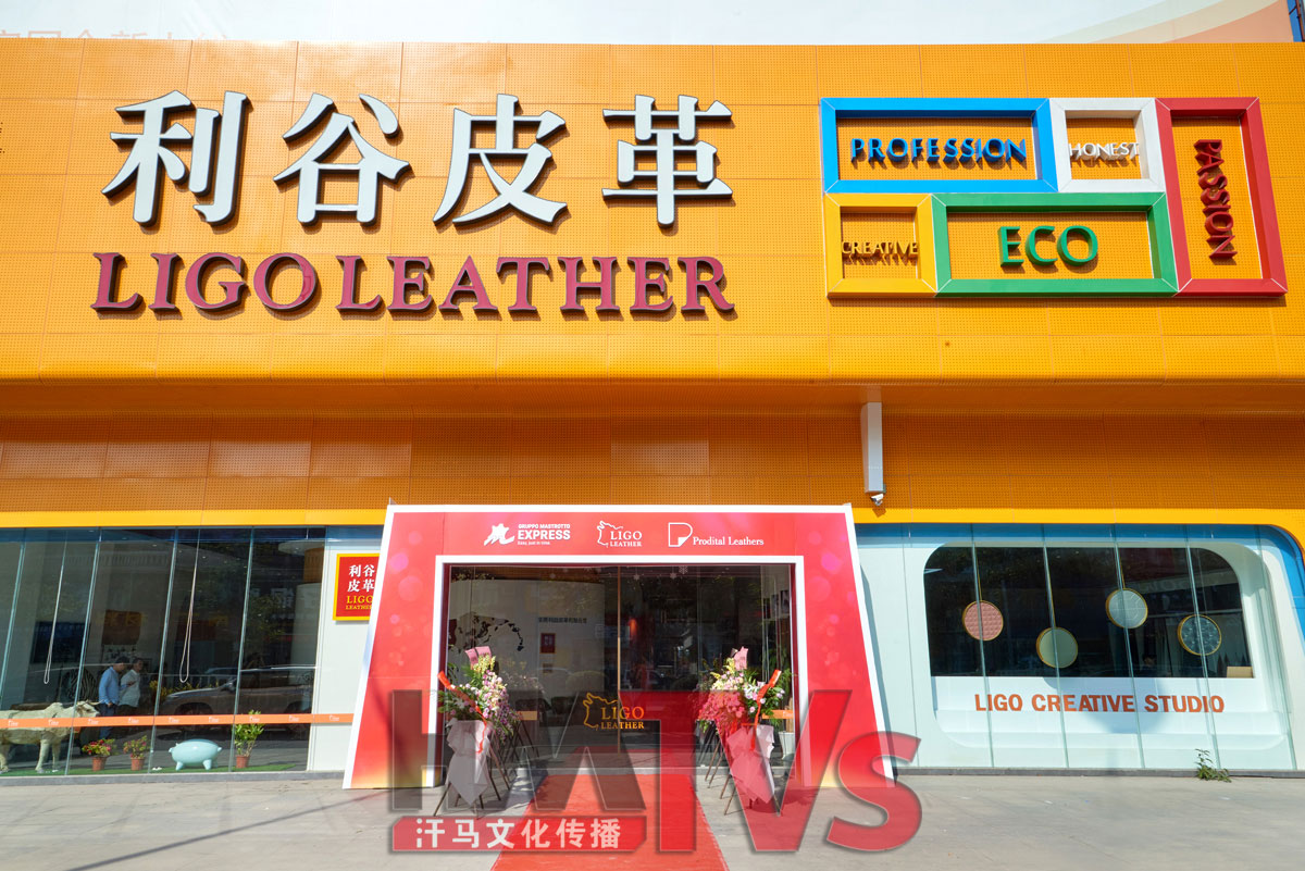 東莞開(kāi)業(yè)慶典