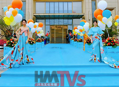 何為公司策劃 策劃的意圖是啥